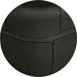 black leather - alligator